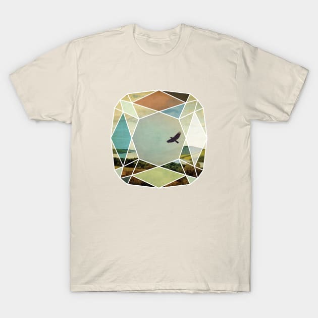 Diamonds in the rough #2 T-Shirt by directdesign